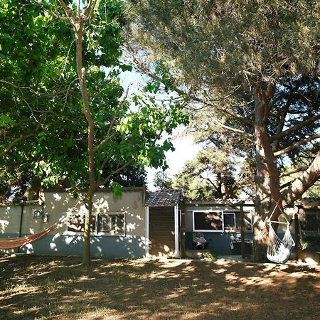 Вилла Limnos Stone House Kalliopi Экстерьер фото
